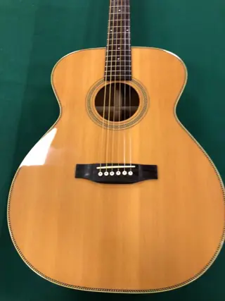 EKO/MANNE - AS Chitarra acustica - Akoestische gitaar