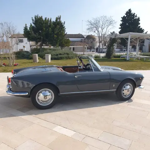 Alfa Romeo - Giulietta Spider 1300 - 1961