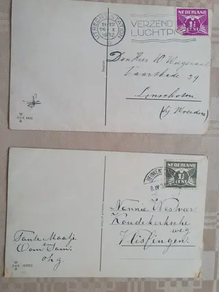 Nederland, Frankrijk en diverse landen - Katten en honden - Ansichtkaarten (Collectie van 50) - 1900