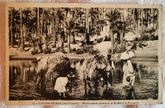 Algerije, Marokko, Tunesië - Etnologie (Etnische / Etnografische postkaarten), Folklore, Kastelen en Monumenten, Landschap, Noord-Afrika, Stad en Landschap - Ansichtkaarten (Set) - 1917