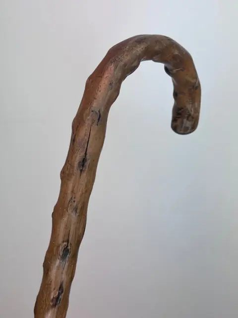 Wandelstok, Engelse klassiek exemplaar - Hagedoorn (hawthorn) - Circa 1850