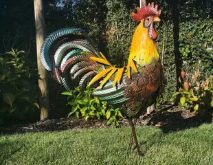 Zeer grote sculptuur van een haan, 85 cm. hoog - metaal - Recent
