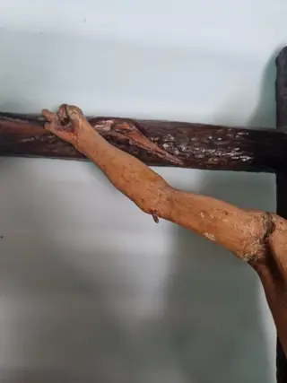 Crucifix - Hout - 19e eeuw