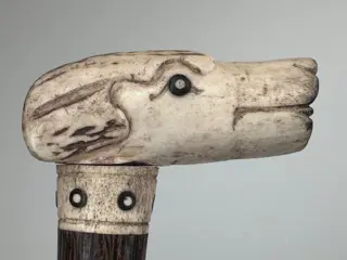 Wandelstok, Terrier hond greep gesneden uit gewei van een hert - Been, Coromandel - Circa 1940