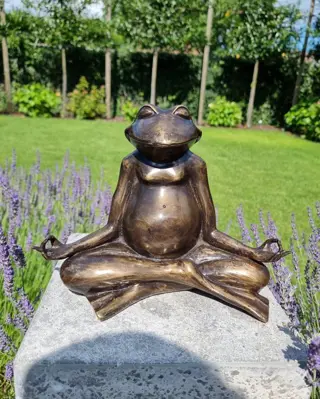 Frog - Meditating - Gepatineerd brons - recent