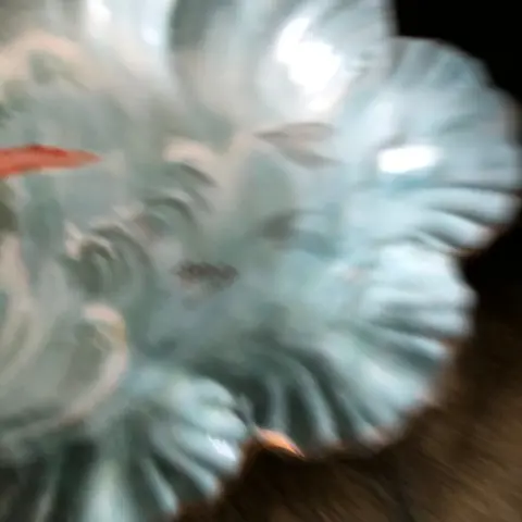 Limoges - Borden, Schaal, Schaal/kom - Porselein