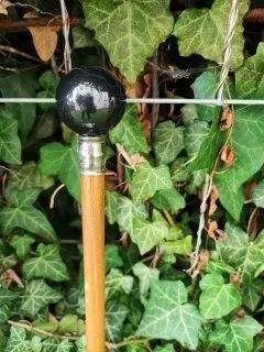 Wandelstok (4) - Beuken - Eerste helft 20e eeuw