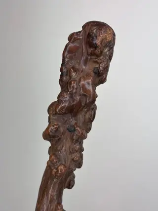 Wandelstok, Knoestige Irish Shillelagh Blackthorn - Hout - Ca. 1860