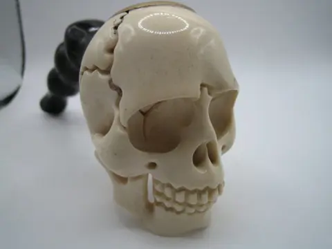 Fluitje gesneden schedel - Hertengewei, buffelhoorn - Begin 20e eeuw