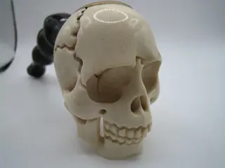 Fluitje gesneden schedel - Hertengewei, buffelhoorn - Begin 20e eeuw