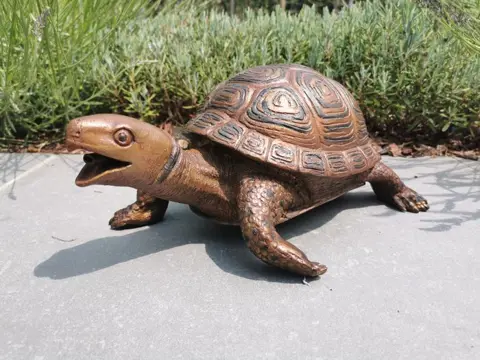 Fontein - schildpad - Gepatineerd brons - recent