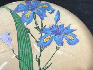 Presse papier - Glas, Hout - Begin 20e eeuw