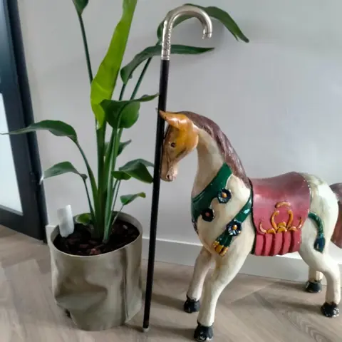 Wandelstok - Hout, alpacca - Begin 20e eeuw