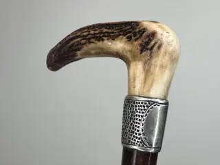 Wandelstok, Engelse klassiek exemplaar met zilveren manchet en greep van herten hoorn - Zilver, Hagedoorn (hawthorn) - Circa 1888