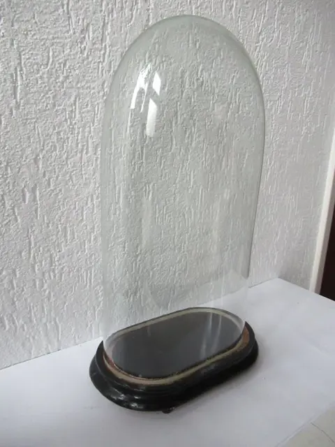 Globe or glass bell jar - Glass and wood - Begin 20e eeuw
