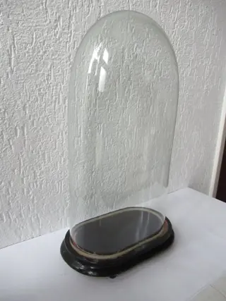 Globe or glass bell jar - Glass and wood - Begin 20e eeuw