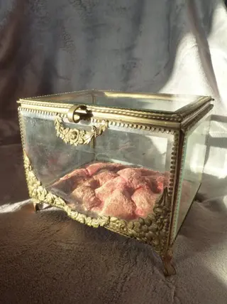 Glazen doosje voor bruidskroon (1) - Fluweel, Glas, Koper - Eind 19e eeuw