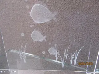 Valner - glassculptuur - Glas