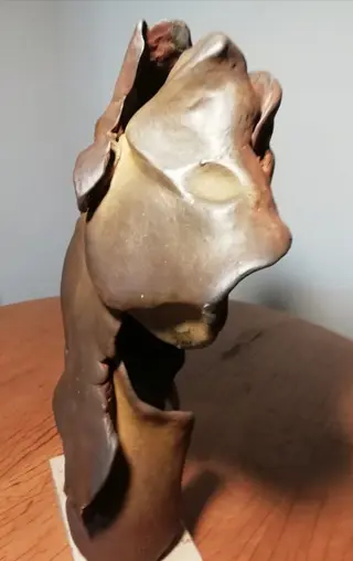 Andrés Gómez - Beeld - Modern - Ijzeroxide