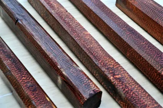 Slangenhout / Letterhout