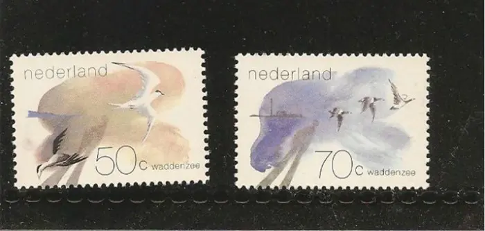 Waddengebied 1982
