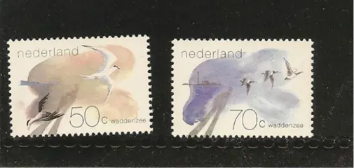 Waddengebied 1982