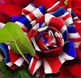 ENGLISH FLOW - PRIVÉLES ENGELS