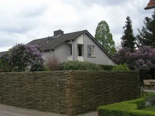 Wilgentenen wilgentenenschutting vlechthout