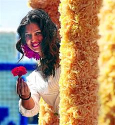 Spanje, meivakantie, een huisje huren met zwembad?