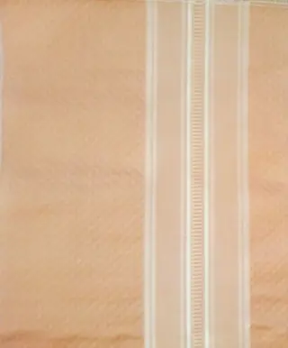 600 x 140 cm - Tessuto San Leucio 1789 Damasco rigato Zalm - Katoen - 21e eeuw