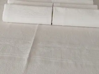 Mooi wit tafelkleed en 12 servetten - 217 x 154 cm (13) - Linnen - Midden 20e eeuw