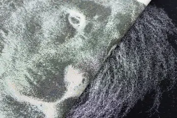 1.08 x 1.40 METER !!! Fantastisch gobelin wandtapijt Z/W zonder randen dat twee leeuwen voorstelt - Katoen, ander - 21e eeuw