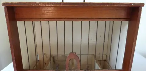 Antieke Vogelkooi - Hout - Ijzer - Glas