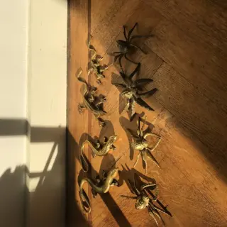 Salamanders & Spinnen (8) - Brons, Koper