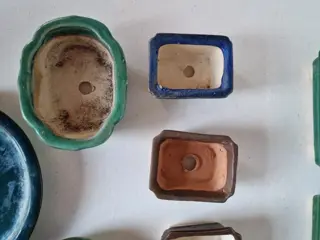 bonsai or cactus containers - Aardewerk