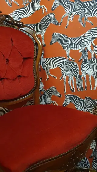 Exclusieve zebrastof -500x140cm - rood - Katoen - 21e eeuw