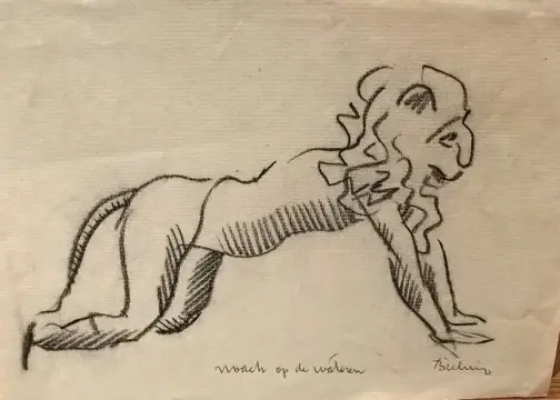 Herman bieling tekeningen inkt