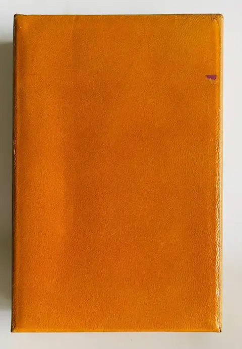 Gianni Novak - Dal Negro - Tarot kaarten (1) - Karton