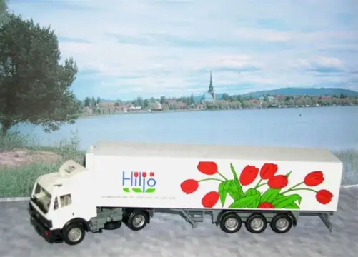 Hiljo (Tulpen) Mercedes 1/87