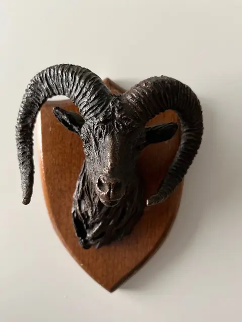 Beeld, Hoofd bronzen dieren (4) - Brons