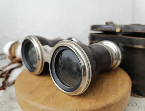 Paar theater/opera verrekijkers - Leder, Messing