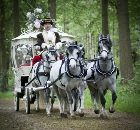 Cinderella koets huren voor communie