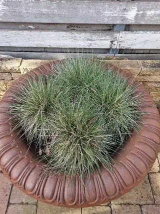 bloempot (1) - gietijzer