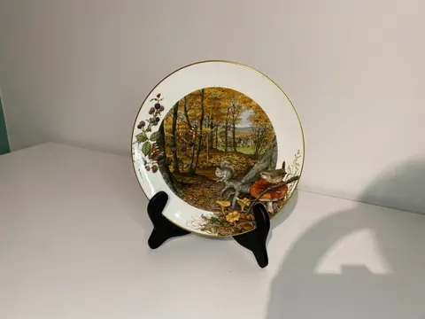 Peter Banett - Royal Worcester - Borden (12) - Porselein
