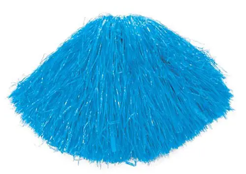 Cheerleader pompoen