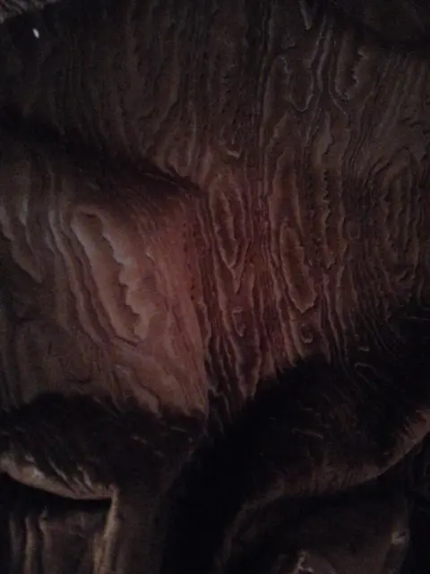 prachtige fluwelen stof - 300 x 150 cm (2) - Fluweel - Eind 20e eeuw