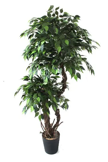 Kunstbomen kunstbamboe kunstcactus kunstpalmbomen kopen