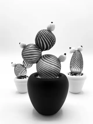 De Mio Giuliano - Cactus (3) - Glas