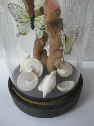 Oude glazen stolp met zijden vlinders - Glas - zijde - hout