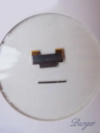 Omega Omega constellation steel gold lady 14mm Link